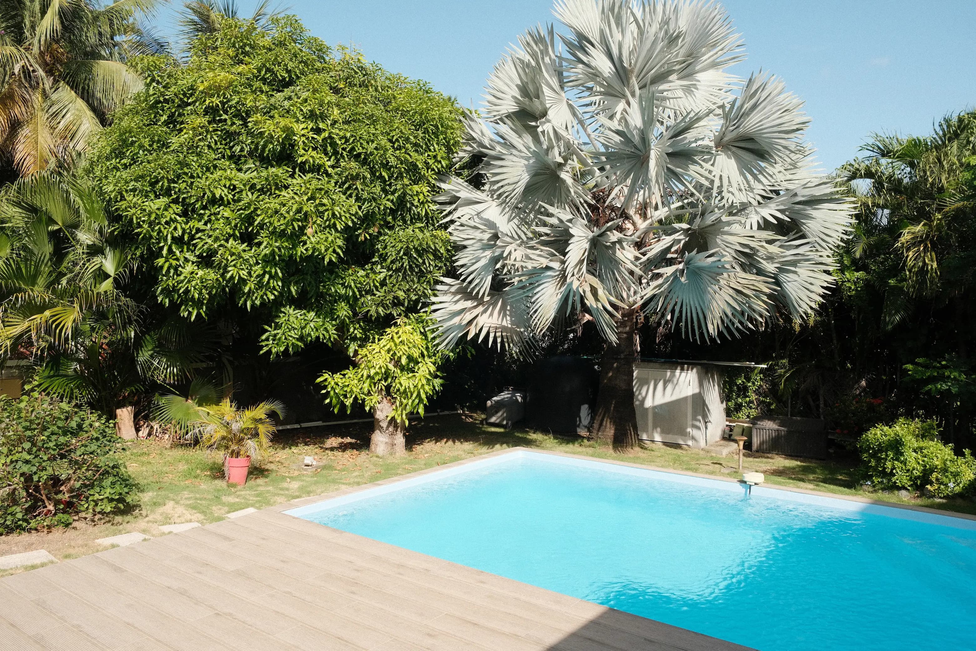 Grande piscine privée de la Villa Bel Arbre à Saint-François